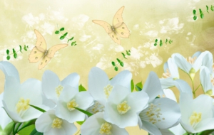 Jasmine Desktop Jasmine Desktop