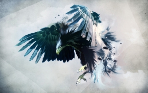 Eagle Wallpaper Eagle Wallpaper