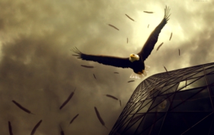 Eagle Wallpapers HD Eagle Wallpapers HD