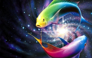 Fish High Definition Wallpapers Fish High Definition Wallpapers