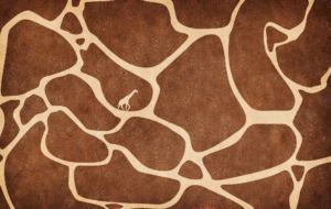 Giraffe Background Giraffe Background