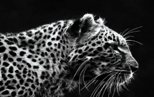 Jaguar For Deskto Jaguar For Deskto