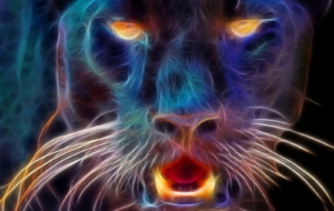Panther HD Background Panther HD Background