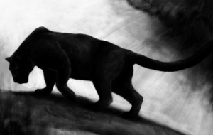 Panther HD Wallpaper Panther HD Wallpaper