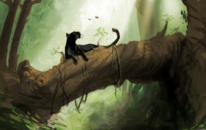 Panther Full HD Panther Full HD