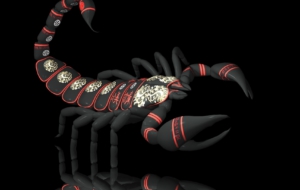 Scorpion HD Scorpion HD