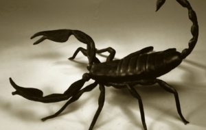 Scorpion High Definition Wallpapers Scorpion High Definition Wallpapers