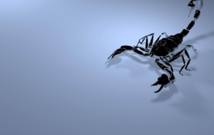 Scorpion Full HD Scorpion Full HD