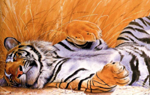 Siberian Tiger Deskto Siberian Tiger Deskto