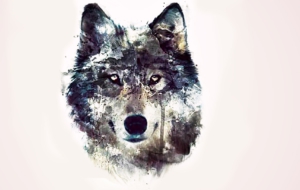 Wolf Widescreen Wolf Widescreen
